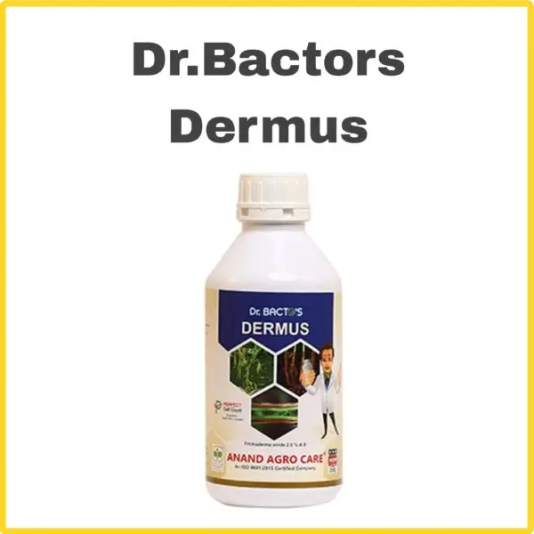 Dr.Bactors Dermus